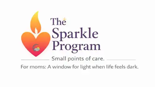 The Sparkle Program